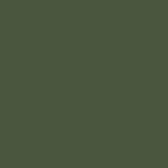 RAL 6003 Оливково-зелёный